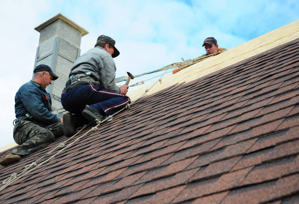 Roof Gutter Cleaning in Centerville, UT